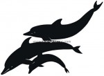 72-CHP Silueta chapa delfines