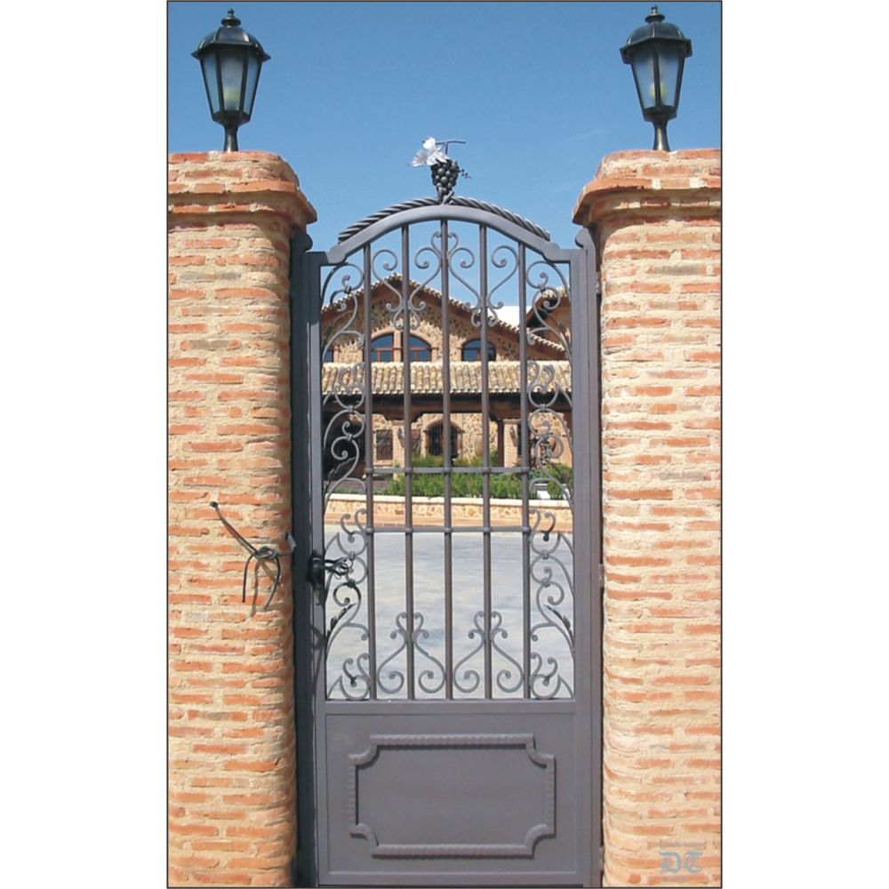 1644 Cancela con rizos especiales y racimo de uvas en el centro 1644 Cancela con rizos especiales y racimo de uvas en el centro