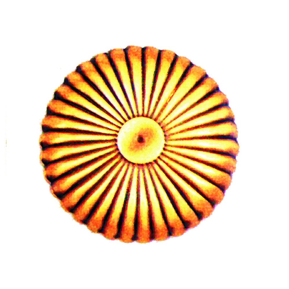 5-RCL Roseta rayada circular de chapa de latón 5-RCL Roseta rayada circular de chapa de latón